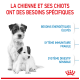 Chienne et chiots avec le texte français : "La chienne et ses chiots ont des besoins spécifiques" concernant leur énergie, leur immunité et leur digestion.