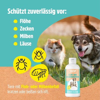 Flasche mit GREEN HERO Floh- und Zecken-Shampoo für Haustiere, mit einer Katze und einem Hund auf dem Etikett, mit "Made in Germany" Emblem.