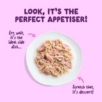 Shredded wet pet food on white plate on pink with headline 'Perfect Appetiser' and small captions: side dish, dessert