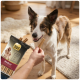 Chien de type border collie brun et blanc acceptant une friandise dentaire d'une main ; paquet de friandises Select Gold Sensitive Medium visible.