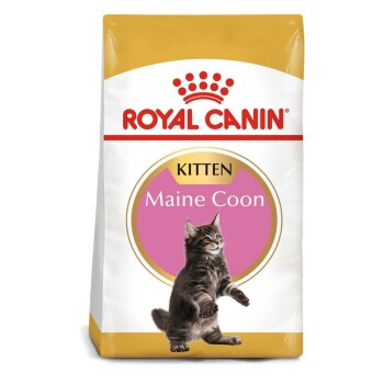 Maine Coon Chaton Croquettes Chat 10 kg