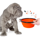 Ein grauer Welpe sitzt neben einer zusammenklappbaren orangefarbenen Haustierschale, die von einer Hand gehalten wird, mit bunten Spritzern, die darum herum illustriert sind.