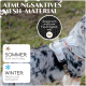 Ein Hund in einem weißen atmungsaktiven Mesh-Geschirr mit Sommer- und Wintermerkmalen: "Sommer: Kühl und luftig" und "Winter: Weich und behaglich."
