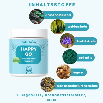 Glas mit Pfotenkraut Happy Go Hundegelenkkraut mit Inhaltsstoffen: Grünlippmuschel, Weidenrinde, Teufelskralle, Spirulina, Ingwer und Ascophyllum nodosum Algen.