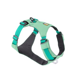 Ein mintgrünes Hundegeschirr mit verstellbaren Riemen und einem gepolsterten Innenraum, mit einem Metall-D-Ring zur Leinenbefestigung.