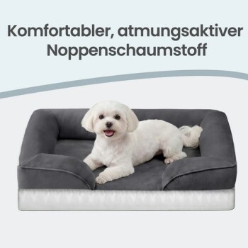 Kleiner weißer Hund auf grauem Haustierbett mit Rand; Text oben: 'Komfortabler, atmungsaktiver Noppenschaumstoff'