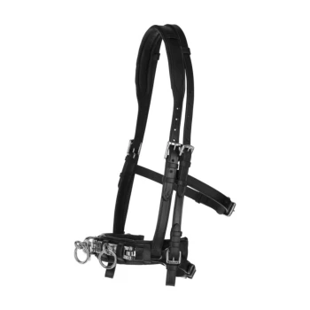 Schwarzes Leder-Haustiergeschirr mit verstellbaren Riemen und Metallverschlüssen, mit D-Ringen zur Leinenbefestigung.