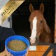 Fuchsfarbenes Pferd mit weißer Blesse schaut aus der Box neben einer Person, die einen blauen Eimer mit Pellets hält; goldenes Banner 'PREMIUM'.