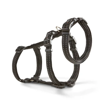 Schwarzes verstellbares Nylon-Hundegeschirr mit Kunststoffschnallen und Metall-D-Ring vor weißem Hintergrund.