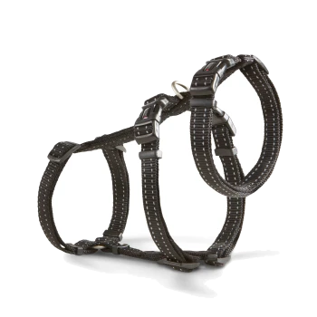 Schwarzes verstellbares Nylon-Hundegeschirr mit Kunststoffschnallen und Metall-D-Ring vor weißem Hintergrund.