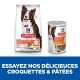 Nourriture pour chiens Hill's Science Plan : un sac et une boîte étiquetés "Perfect Digestion" avec un border collie. Texte : "Essayez notre croquette et pâté savoureux."