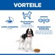 Hund mit Napf unter der Überschrift 'VORTEILE'; Text: 'Leicht verdauliche Zutaten', 'Hochwertiges Protein', 'Ausgewogene Ernährung'.