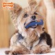 Ein kleiner, flauschiger Hund sitzt mit einem blauen Kauspielzeug, das an seinem Ohr befestigt ist, mit dem Text "Nylabone CHEWS BEST" in der oberen linken Ecke.