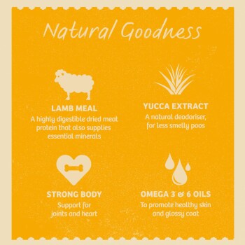 Infographic titled "Natural Goodness" featuring four key ingredients: Lamb Meal, Yucca Extract, Strong Body, and Omega 3 & 6 Oils, with descriptions.