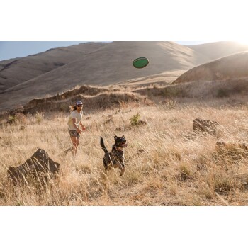 Eine Person wirft einen grünen Frisbee auf einer grasbewachsenen Fläche, während ein glücklicher schwarzer Hund darauf zuläuft, mit Bergen im Hintergrund.