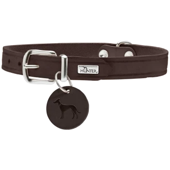 Brauner Lederhalsband für Hunde mit einer silbernen Schnalle und einem runden Anhänger mit einem Hundesilhouette, gebrandet mit "HUNTER."