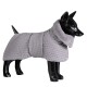 Ein schwarzer Schaufensterhund trägt einen weichen, grauen, strukturierten Haustiermantel mit hohem Kragen, der ein stilvolles und gemütliches Design zeigt.