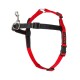 Red and black dog harness with adjustable straps and a metal clip, labeled "HALTI."