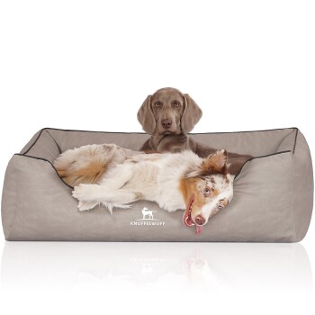 Zwei Hunde liegen auf einem plüschigen, beigen Hundebett mit schwarzem Rand, mit dem Logo "KNUFFELWUFF" deutlich sichtbar.