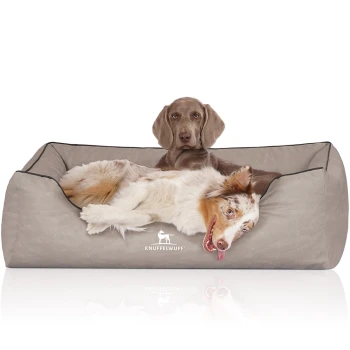 Zwei Hunde liegen auf einem plüschigen, beigen Hundebett mit schwarzem Rand, mit dem Logo "KNUFFELWUFF" deutlich sichtbar.