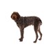 Front Range™ Geschirr braun XS