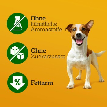 Pedigree Zahnpflege Dentastix Daily Fresh Multipack Mini, 35x