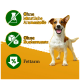 Hund auf einem hellgelben Hintergrund mit dem Text: "Ohne künstliche Aromastoffe," "Ohne Zuckerzusatz," und "Fettarm."