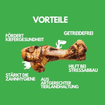Ein Hundeknochen auf grünem Hintergrund mit Text: "Fördert die Kiefergesundheit," "Getreidefrei," "Reduziert Stress," "Verbessert die Zahnhygiene," "Ethisch beschafft."