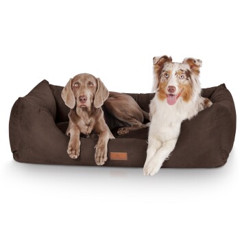 Hundebett Dreamline aus Velours braun XXL