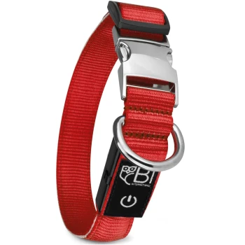 Leuchthalsband Hundehalsband rot M Rotes Haustierhalsband mit einer silbernen Schnalle und D-Ring, mit einem schwarzen Etikett mit einem Powersymbol und einem Eulenlogo.
