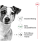 Werbung für Hundefutter, die Vorteile hervorhebt: Gewichtserhaltung, starke und gesunde Knochen sowie Unterstützung für lebenslange Vitalität.