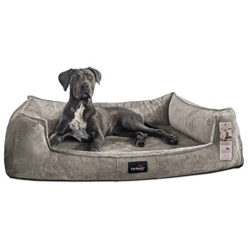 ® Orthopädisches Hundebett FRANKLIN Kuscheliger Teddy-Stoff - Hundesofa graphit/nature 1,3 m, 25 cm, 1 m