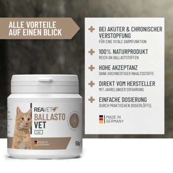 50g Behälter von REAVET Ballasto Vet für Katzen, der natürliche Zutaten, einfache Dosierung und Vorteile bei Verstopfung bewirbt. Hergestellt in Deutschland.