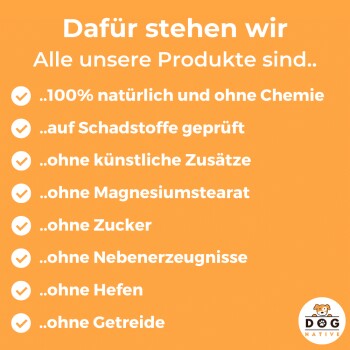 Oranger Hintergrund mit dem Text: "Dafür stehen wir. Alle unsere Produkte sind.." und Häkchen für natürliche Haustierprodukte. "DOG NATIVE" Logo unten rechts.