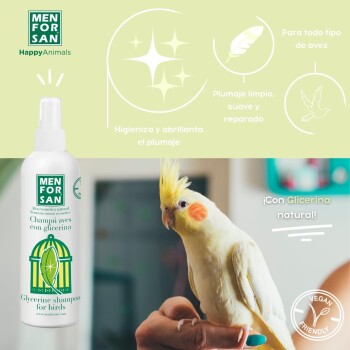 Eine Flasche MEN FOR SAN Glycerin-Shampoo für Vögel neben einem Nymphensittich, mit Text über Hygiene und Glanz für alle Vogelarten.
