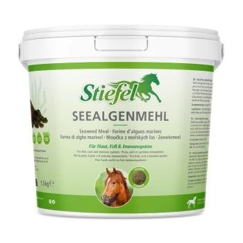 Behälter mit Stiefel Algenmehl für Pferde, zeigt ein braunes Pferd und Text über natürliche Haut-, Fell- und Immunsystemvorteile.