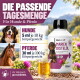 Ein glücklicher schwarz-weißer Hund läuft durch ein Feld mit lila Blumen, umgeben von Grün entlang des Weges.