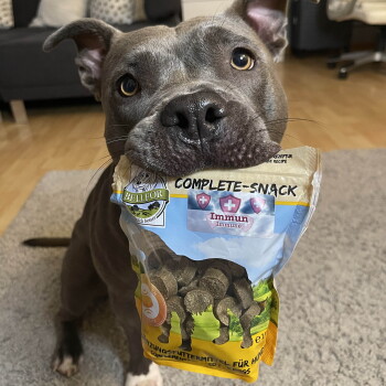 Bellfor Complete-Snack Immun - 150g | FRESSNAPF