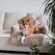 Ein Basenji-Hund, der auf einem plüschigen Haustierbett mit Armlehnen entspannt, das auf einem hellen Sofa steht, umgeben von dekorativen Kissen und Pflanzen.
