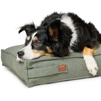 Dreifarbiger Hund ruht den Kopf auf einem grünen Stoffhundebett mit kleinem Lederlogo-Etikett.