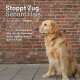 Golden Retriever an Leine sitzt neben einer Backsteinmauer; sichtbarer Text: „Stoppt Zug. Schont Hals.“