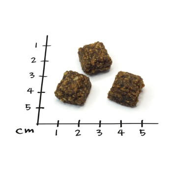 Drei quadratische Haustierleckerlis auf einem weißen Hintergrund, mit einem Lineal, das die Größe in Zentimetern daneben anzeigt.