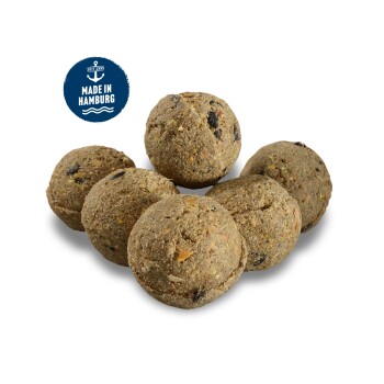 Eine Gruppe von sechs runden, strukturierten Tierfutterbällen aus natürlichen Zutaten, mit sichtbaren Stückchen von Samen und Getreide.