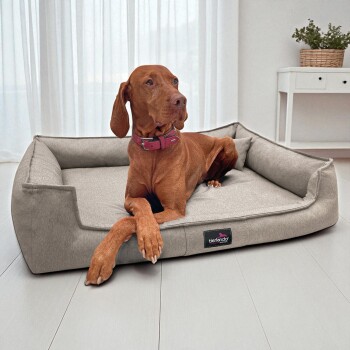 Brauner Hund mit rosa Halsband liegt auf einem grauen Tierlando-Hundebett in einem hellen Raum mit weißen Vorhängen.