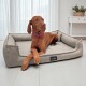 Brauner Hund mit rosa Halsband liegt auf einem grauen Tierlando-Hundebett in einem hellen Raum mit weißen Vorhängen.