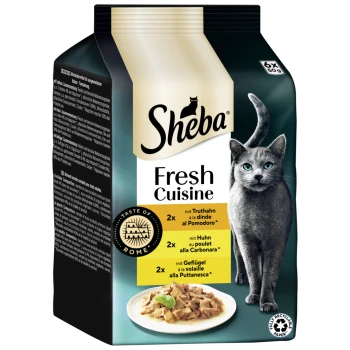 Verpackung von Sheba Fresh Cuisine Katzenfutter mit einer grauen Katze, mit Geschmäckern: Truthahn mit Tomate, Hähnchen Carbonara und Geflügel Puttanesca.