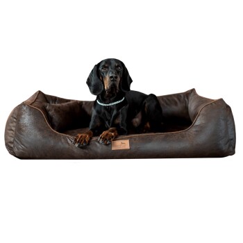 ® ALBERTO ORTHO Orthopädisches Hundebett mit Velours Vintage braun 1,5 m, 25 cm, 1 m