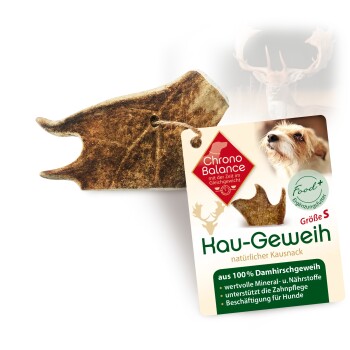 natürliches Damhirsch Kaugeweih S