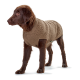 Ein brauner Hund, der einen gemütlichen, gestrickten beigen Pullover trägt, steht vor einem weißen Hintergrund und zeigt seine stilvolle Winterkleidung.