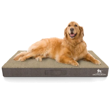 Ein Golden Retriever liegt bequem auf einem plüschigen Hundebett mit beigem Oberteil und dunkelgrauen Seiten, mit dem Markennamen "KNUFFELWUFFF."